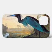 Audubon: Little Blue Heron Case-Mate iPhone Hülle (Rückseite (Horizontal))