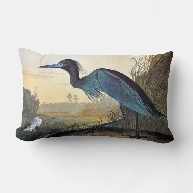 Audubon: Little Blue Heron Lendenkissen (Vorderseite)