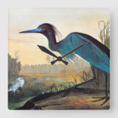 Audubon: Little Blue Heron Quadratische Wanduhr (Vorderseite)
