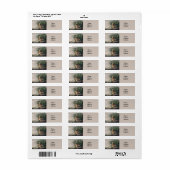 Audubon Long Billed Curlew Bird (Vorne)