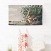 Audubon Long Billed Curlew Bird Banner (Insitu)