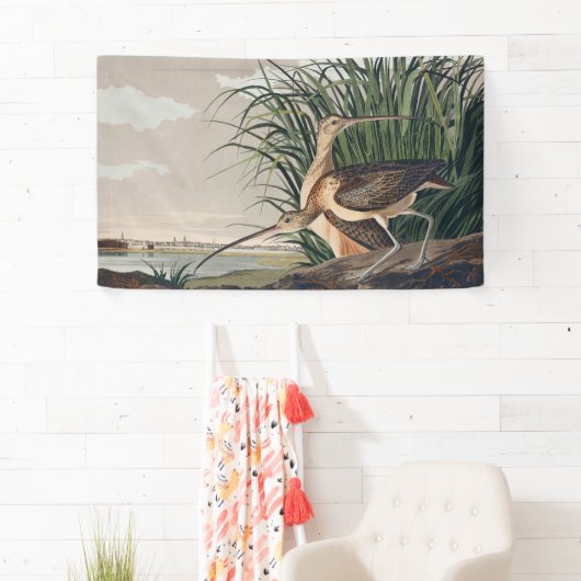 Audubon Long Billed Curlew Bird Banner (Insitu)