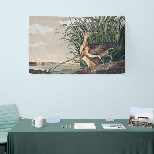 Audubon Long Billed Curlew Bird Banner (Messeveranstaltung)
