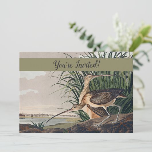 Audubon Long Billed Curlew Bird Einladung (Stehend Vorderseite)