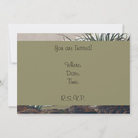 Audubon Long Billed Curlew Bird Einladung (Rückseite)