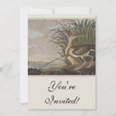 Audubon Long Billed Curlew Bird Einladung (Vorderseite)
