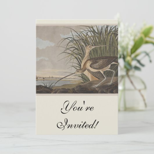 Audubon Long Billed Curlew Bird Einladung (Stehend Vorderseite)