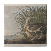 Audubon Long Billed Curlew Bird Fliese (Vorderseite)