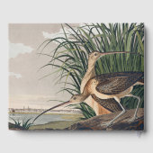 Audubon Long Billed Curlew Bird Gästebuch (Rückseite)