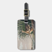 Audubon Long Billed Curlew Bird Gepäckanhänger (Vorderseite vertikal)