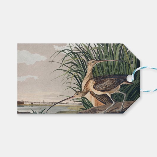 Audubon Long Billed Curlew Bird Geschenkanhänger (Vorderseite (Horizontal))