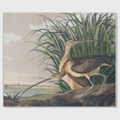 Audubon Long Billed Curlew Bird Geschenkpapier (Flach)