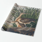 Audubon Long Billed Curlew Bird Geschenkpapier (Ungerollt)