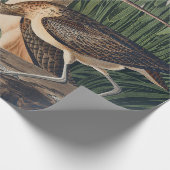 Audubon Long Billed Curlew Bird Geschenkpapier (Ecke)
