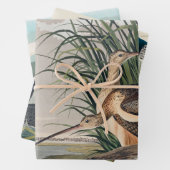 Audubon Long Billed Curlew Bird Geschenkpapier Set (Beispiel)