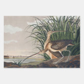 Audubon Long Billed Curlew Bird Geschenkpapier Set (Vorderseite)