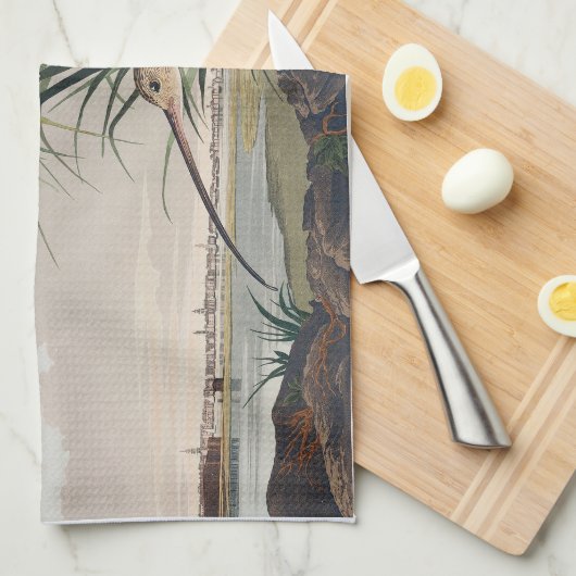 Audubon Long Billed Curlew Bird Geschirrtuch (Viertel Falte)