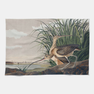 Audubon Long Billed Curlew Bird Geschirrtuch