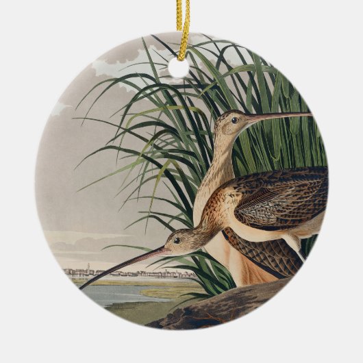 Audubon Long Billed Curlew Bird Keramik Ornament (Vorne)