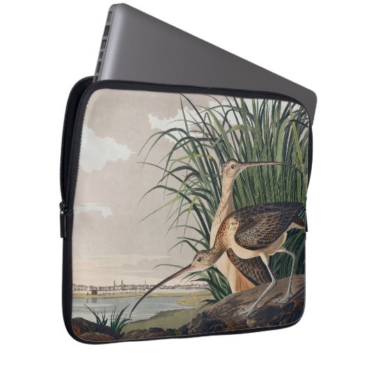 Audubon Long Billed Curlew Bird Laptopschutzhülle (Vorne Rechts)