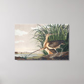 Audubon Long Billed Curlew Bird Leinwanddruck (Vorderseite)