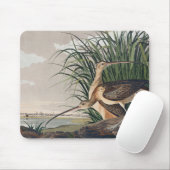 Audubon Long Billed Curlew Bird Mousepad (Mit Mouse)