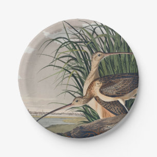 Audubon Long Billed Curlew Bird Pappteller