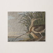 Audubon Long Billed Curlew Bird Puzzle (Horizontal)
