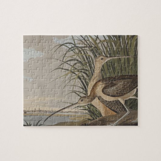 Audubon Long Billed Curlew Bird Puzzle (Horizontal)