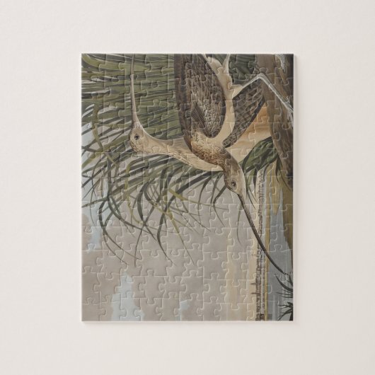 Audubon Long Billed Curlew Bird Puzzle (Vertikal)