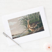Audubon Long Billed Curlew Bird Rechteckiger Aufkleber (Umschlag)