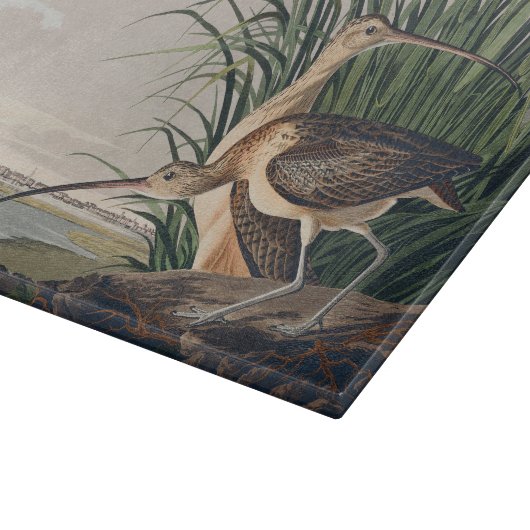 Audubon Long Billed Curlew Bird Schneidebrett (Ecke)