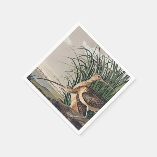Audubon Long Billed Curlew Bird Serviette (Ecke)