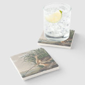 Audubon Long Billed Curlew Bird Steinuntersetzer (Seitenansicht)