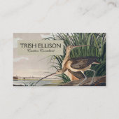Audubon Long Billed Curlew Bird Visitenkarte (Vorderseite)