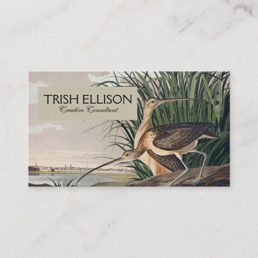 Audubon Long Billed Curlew Bird Visitenkarte (Vorderseite)