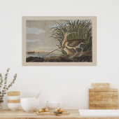 Audubon Long Billed Curlew Sandpiper Bird Poster (Küche)