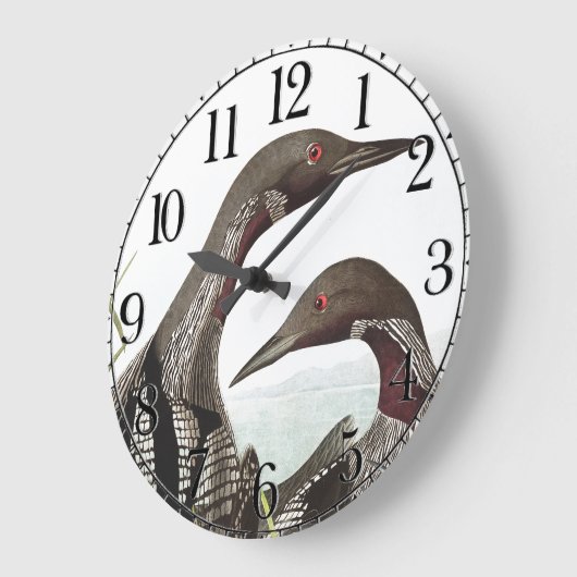 Audubon Loon Diver Birds Tiermauer Uhr (Winkel)