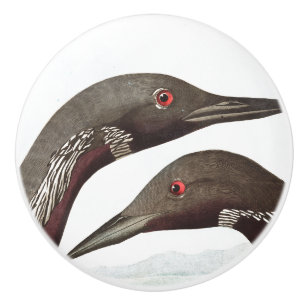 Audubon Loon-Vogel-Tier-Tier-Griff Keramikknauf