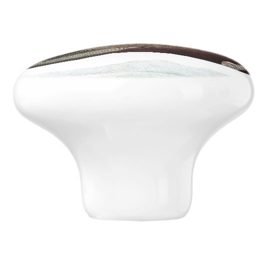 Audubon Loon-Vogel-Tier-Tier-Griff Keramikknauf (Seitenansicht)