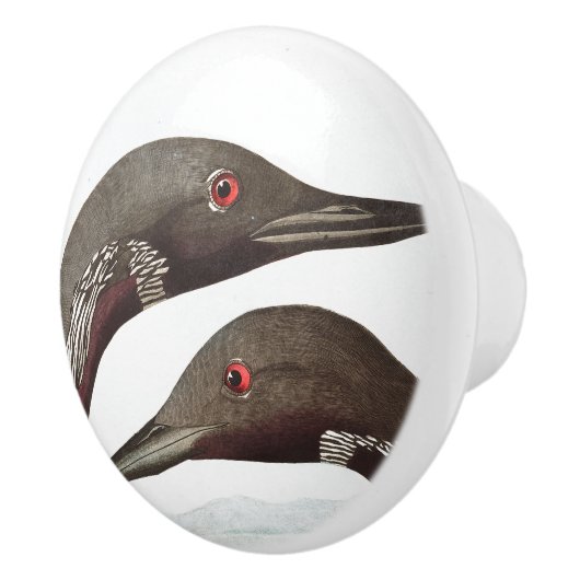 Audubon Loon-Vogel-Tier-Tier-Griff Keramikknauf (Rechts)