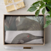 Audubon Loons Heron Birds Wildlife Tissue Paper Seidenpapier (Geschenk)