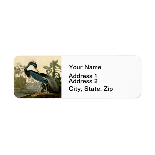 Audubon Louisiana Heron Birds America Art (Vorne)