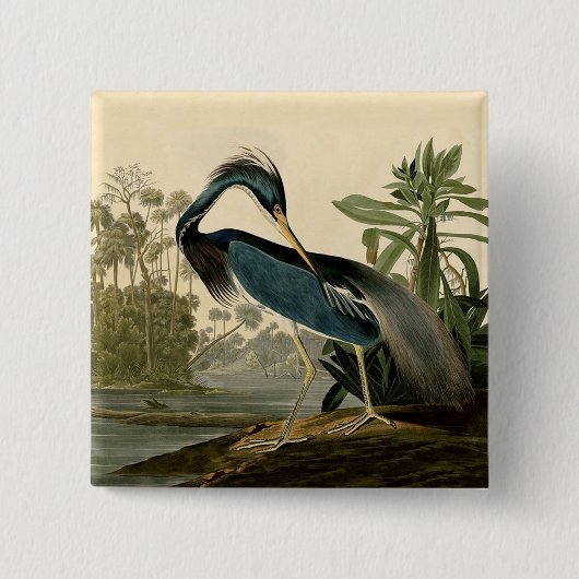 Audubon Louisiana Heron Birds America Art Button (Vorderseite)