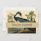 Audubon Louisiana Heron Birds America Art Einladung (Vorderseite)