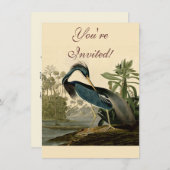 Audubon Louisiana Heron Birds America Art Einladung (Vorne/Hinten)