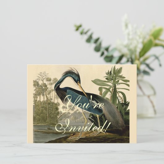 Audubon Louisiana Heron Birds America Art Einladung (Stehend Vorderseite)