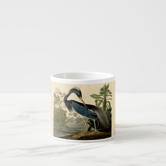 Audubon Louisiana Heron Birds America Art Espressotasse (Vorderseite)