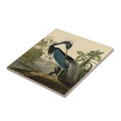 Audubon Louisiana Heron Birds America Art Fliese (Seite)