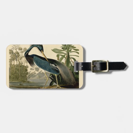 Audubon Louisiana Heron Birds America Art Gepäckanhänger (Vorderseite horizontal)